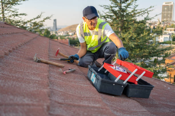 Siding Removal and Disposal in Meridian, ID